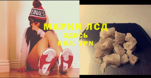 ГАЛЛЮЦИНОГЕННЫЕ ГРИБЫ Покров