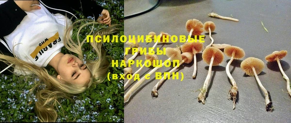 бошки Абаза