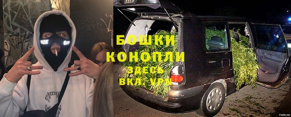 ГАЛЛЮЦИНОГЕННЫЕ ГРИБЫ Покров