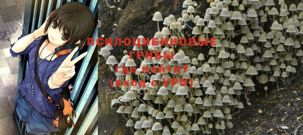 гашиш Абинск