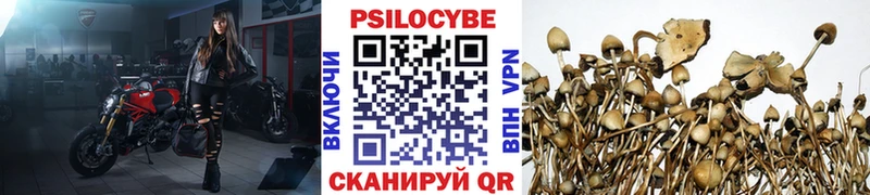 Псилоцибиновые грибы прущие грибы  Анадырь 